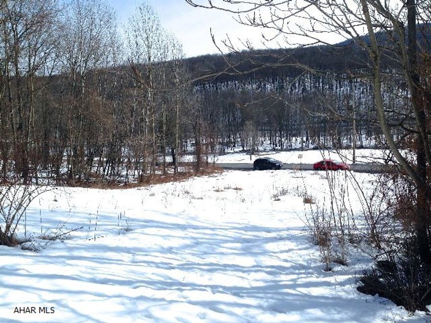 Wow, public sewer and well water available on a lot for $10,000 is a rare find. If hunting is high on your priority list, you don't want to miss this one. Boating and fishing are all within minutes of this property, so if you are looking for a great get-a-way, this one can't be beat.