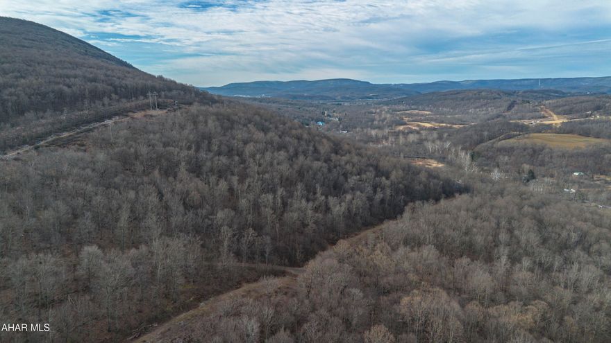 Discover a truly special offering in Hollidaysburg with this expansive 46-acre property ideally located off Reservoir Road. This one-of-a-kind parcel features multiple access points from the road and borders thousands of acres of State Game Lands, offering unmatched privacy and direct access to outdoor recreation. Notably, this property provides the only access to State Game Lands on this side of the mountain—a rare and valuable feature.

The land includes a small cabin, perfect as a hunting camp and has plenty of wildlife, making it great for hunting or outdoor recreation.

Currently enrolled in Clean & Green, the property benefits from reduced taxes while preserving its natural beauty. Whether you're looking for a recreational getaway, hunting property, or a long-term investment, this remarkable tract offers endless possibilities in a prime location.