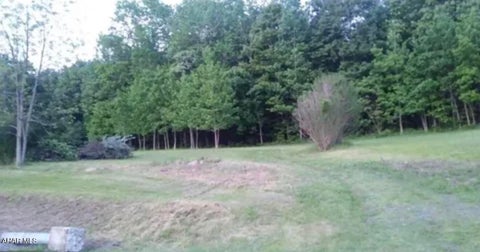 Photo for 1228 Imlertown Road