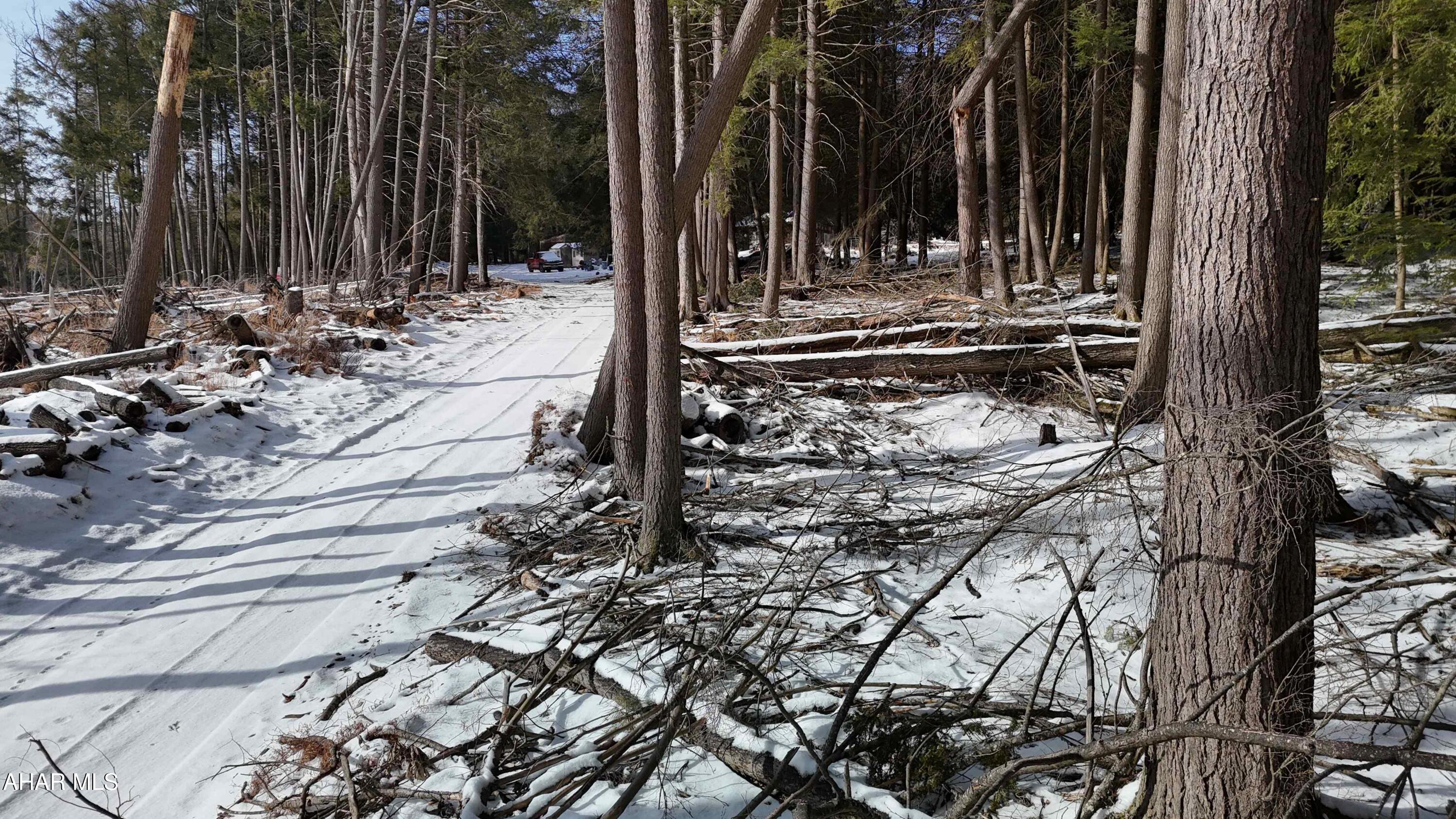 None - Commercial Sale