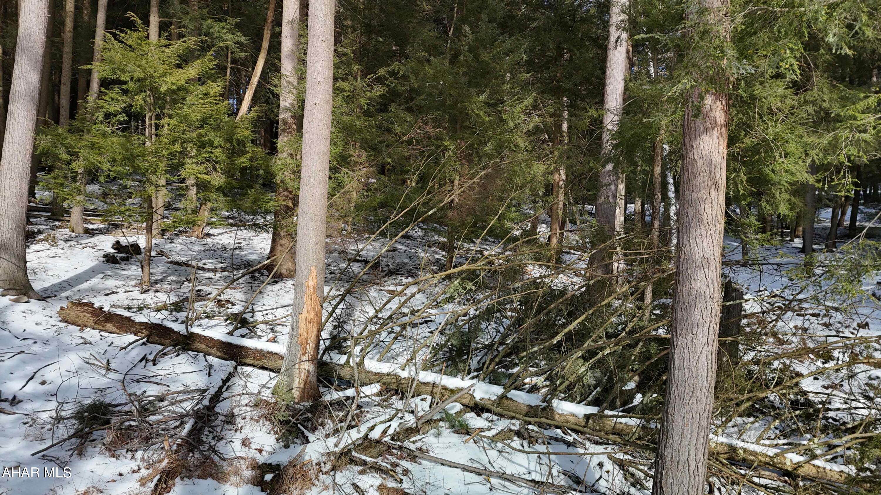 None - Commercial Sale