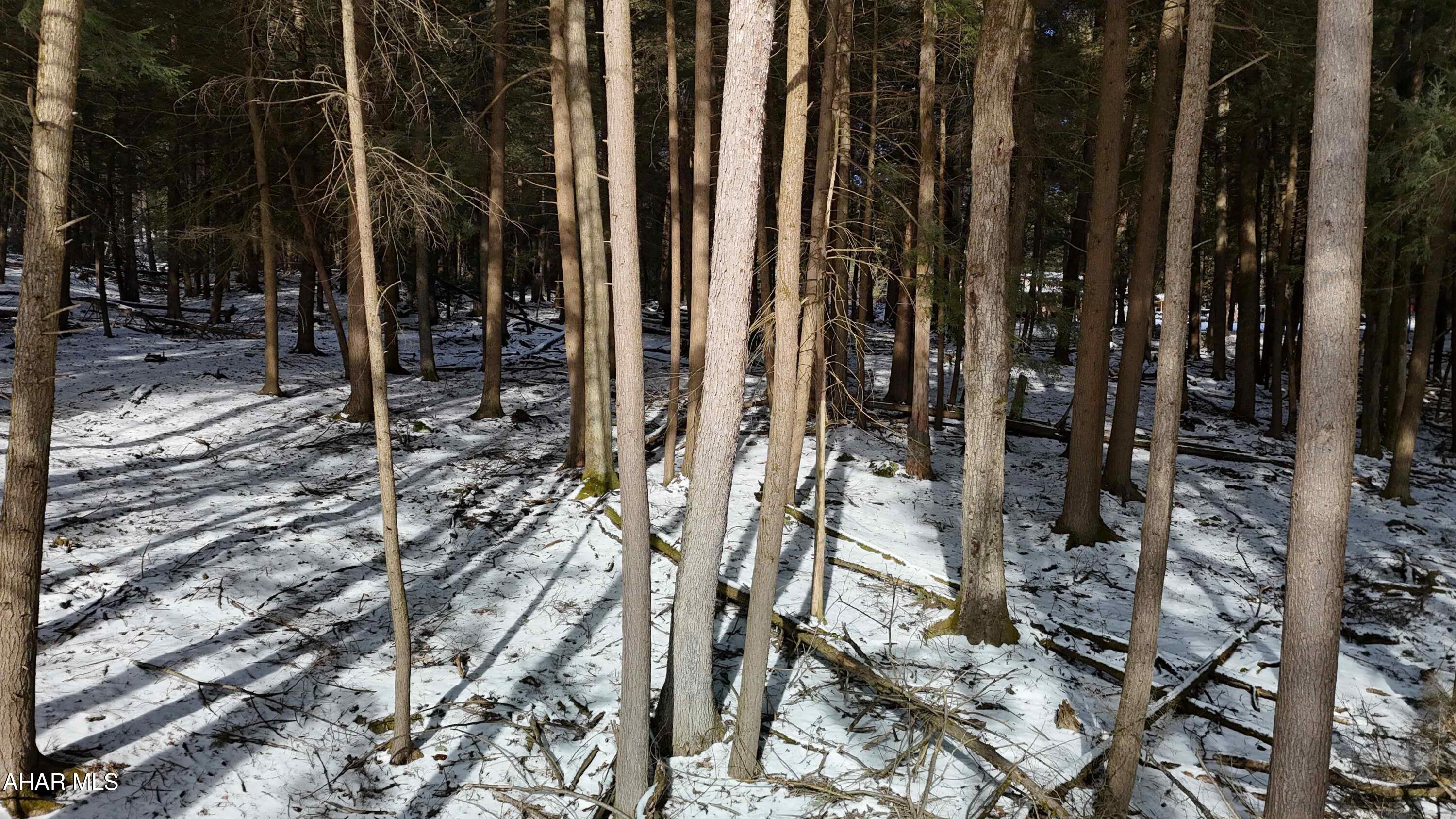 None - Commercial Sale