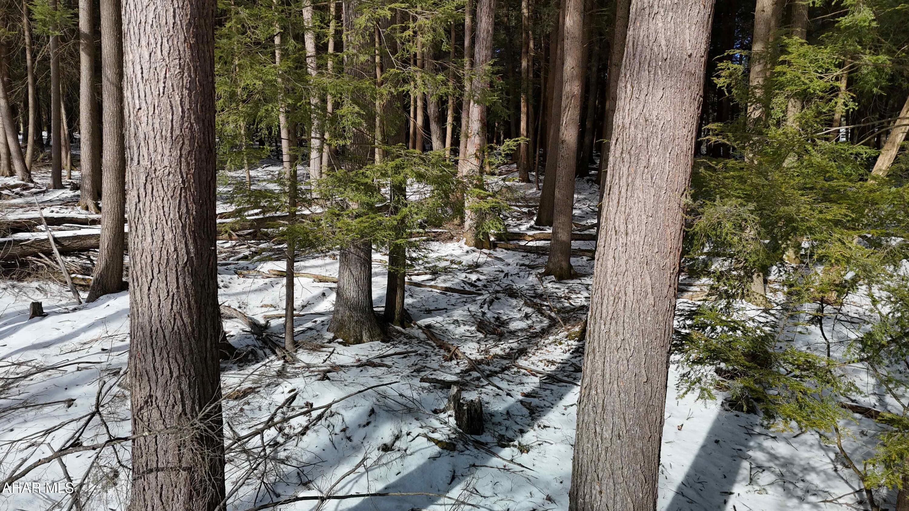 None - Commercial Sale