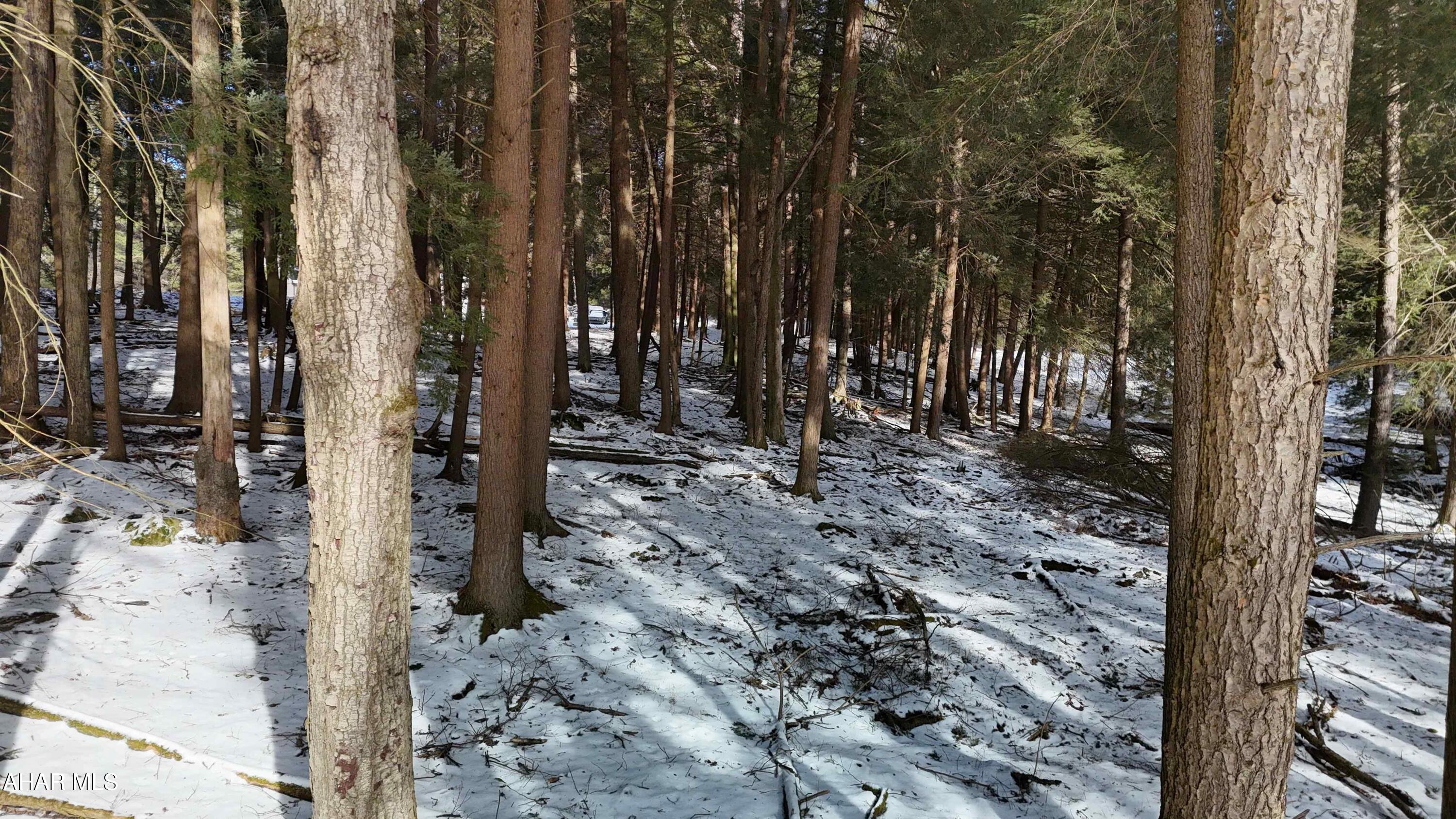 None - Commercial Sale