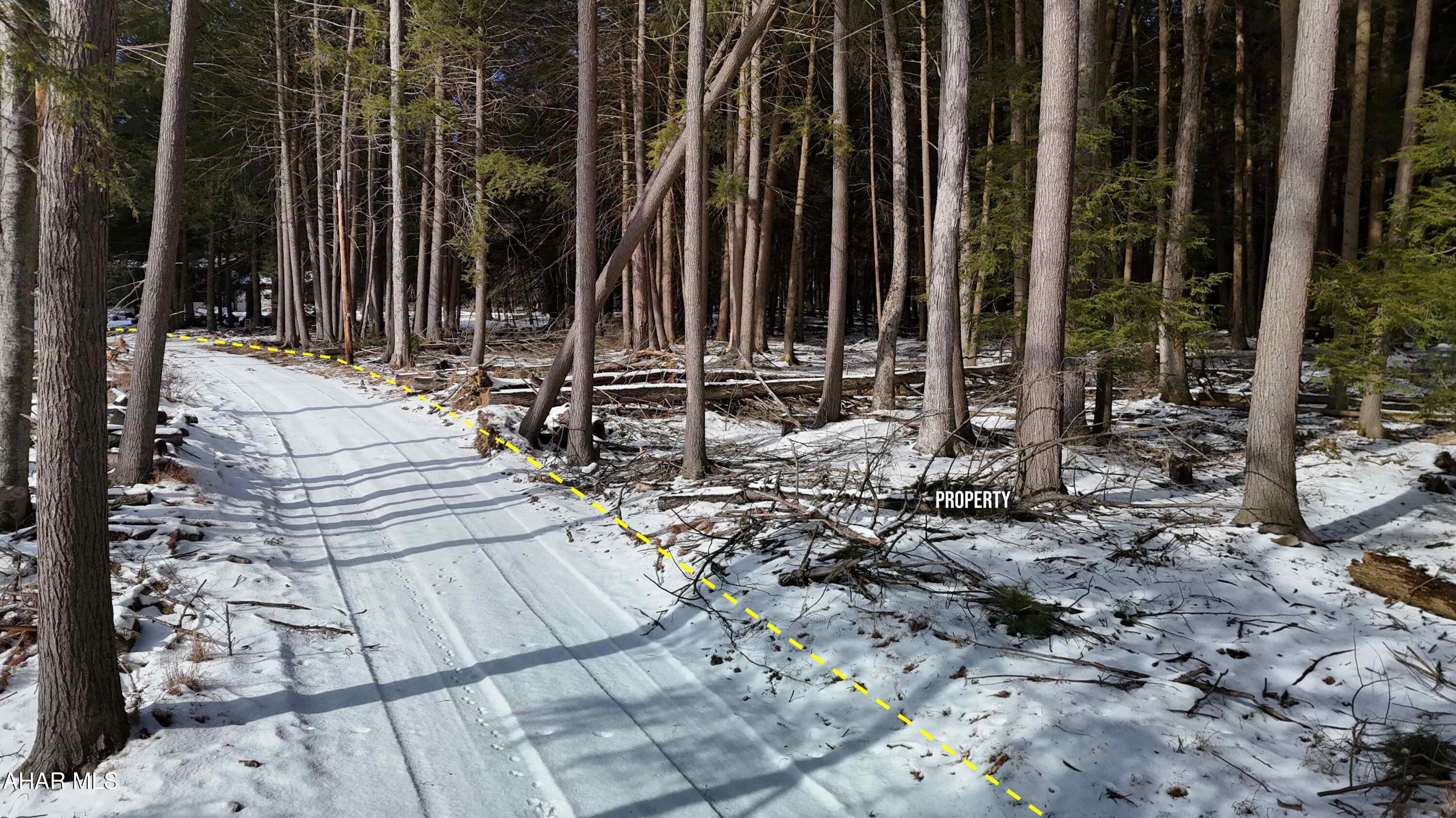 None - Commercial Sale