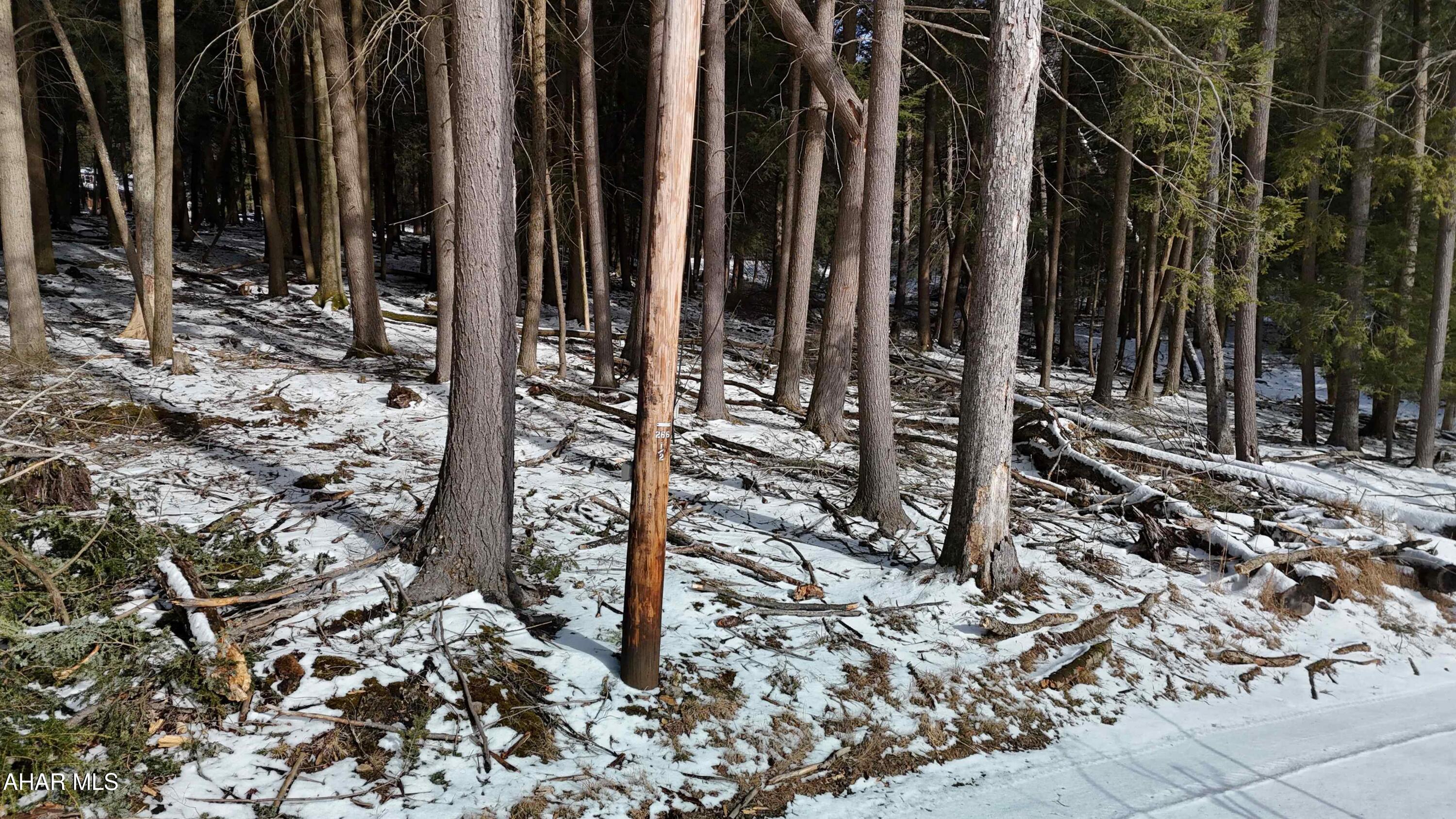 None - Commercial Sale