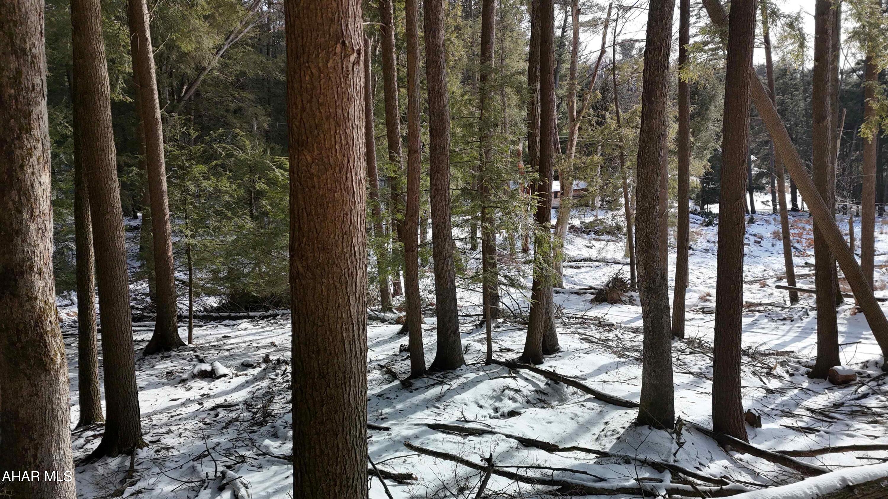 None - Commercial Sale