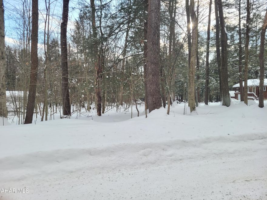 Nice flat wooded building lot with all public utilities available.  No costs to drill a well or build a sand mound.