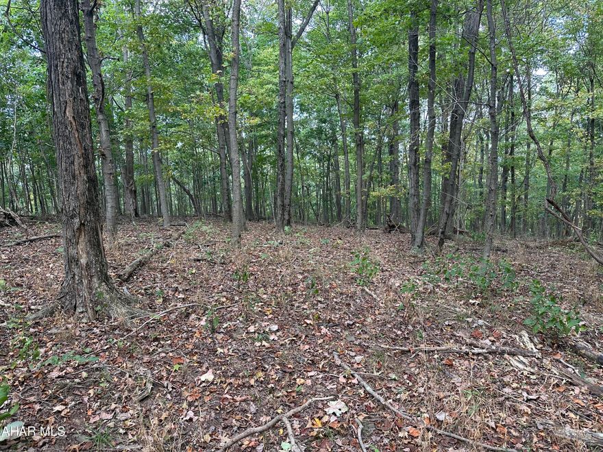 Outstanding building site for this 5.972 acre lot with a level building site, perc approved, and easy access. Underground electric available to tie into at each lot. Gravel road access, minimal deed restrictions. Perfect for a dream home, recreational retreat, hunting and more. Mins from Shawnee State Park, Omni Bedford Springs and much more.