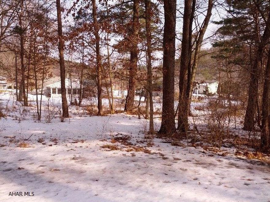 Wooded lot.  Check with Huntingdon Borough Office (643-3967) for verification on taps for water ($1,100), taps for sewer ($1,100) and street info.  List price:  Lot 111B = $20,000.  PENDING.  J-249