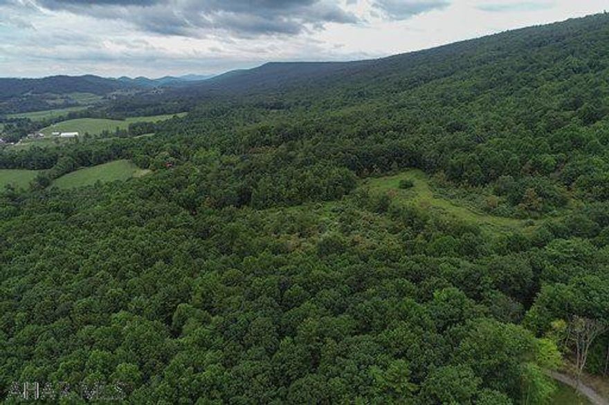 75+ acres of peaceful nature. Lovely building site, great hunting and privacy galore. Border State Game Lands.
