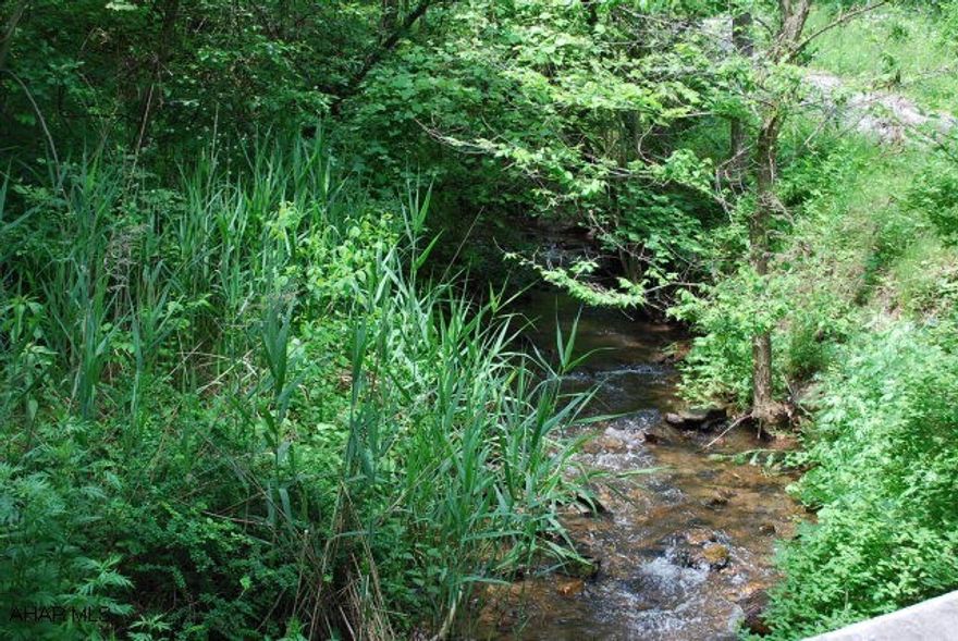 Very nice wooded ground adjacent to state game lands.
