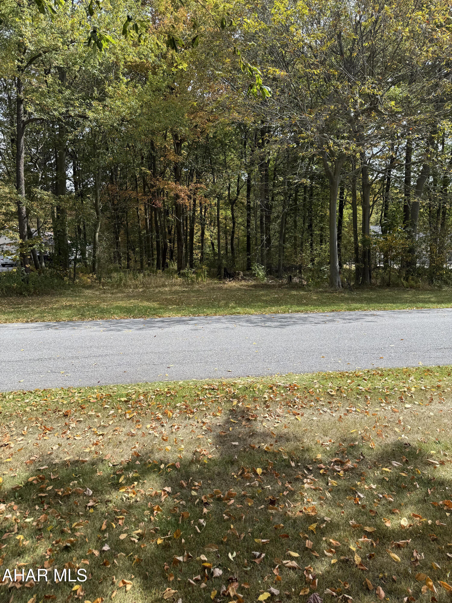 None - Commercial Sale