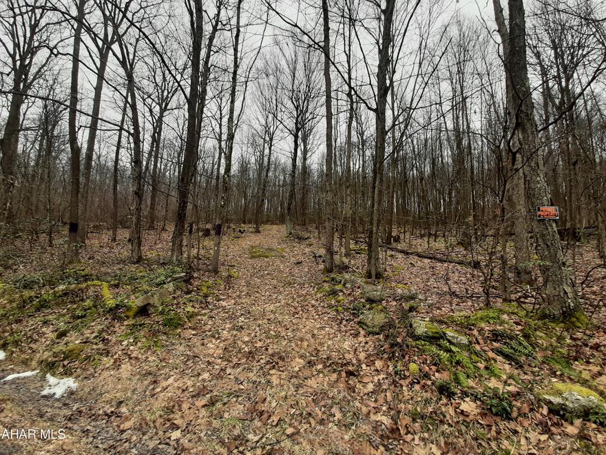 Welcome to your new camp location or new home site! This 1.5-acre parcel is surrounded by state game land that adds to the appeal of this location. Close to Prince Gallitzin State Park and Rock Run Recreation. Right in the middle of outdoor fun or enjoy the tranquility of watching the wildlife. Call for your private tour today!