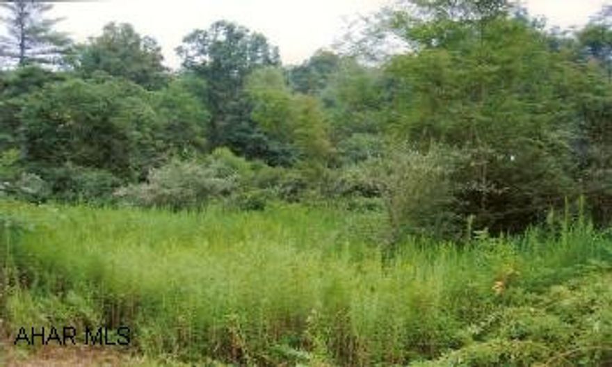 Isolated wooded acreage with a stream and space to build. Part of the property may be considered wetlands.
