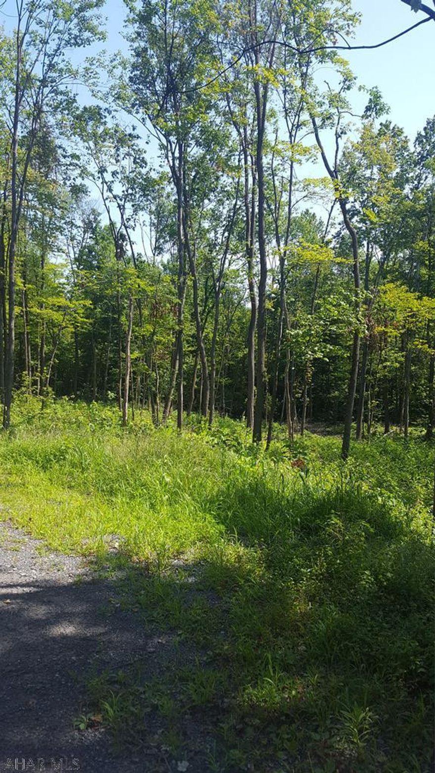 Beautiful, wooded 5 acre building lot in Spring Cove School District.  Secluded, wooded location, but only minutes from town.  Perfect setting for a log home!  Electric is right at the property.  Situated off a cul-de-sac.