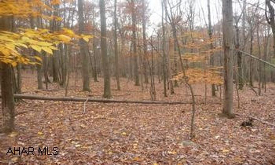Nice tree shaded 3.27 acre lot. Nice tree shaded 3.27 acre lot in small private development in Bean's Cove, just ten minutes from I-68 at Flintstone MD. This lot would make a great place to build your rural get-a-way place or use as a camp site for your motor home or camper. Nearby state forest land is within walking distance of and available for all your outdoor activities. ROCKY GAP STATE PARK is also just a few minutes from the site.