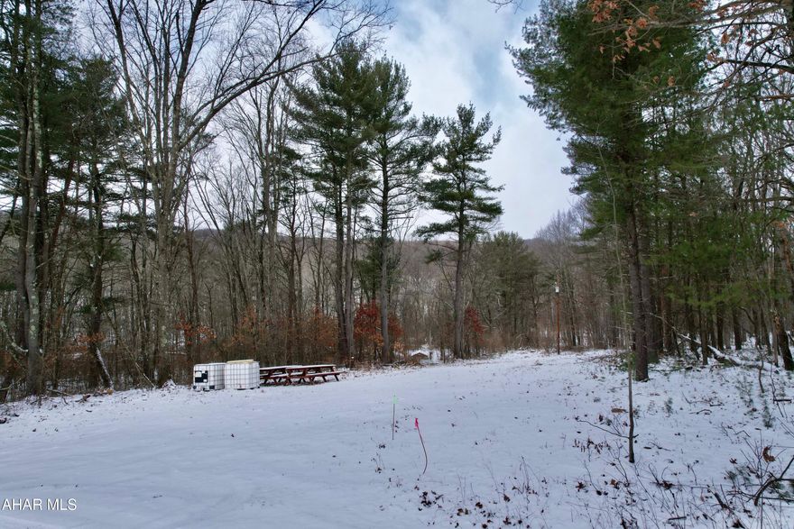 Beautiful 7.86 acre building lot situated in the foot hills of the Allegheny Mountains.  This property is on a private lane allowing for the serenity and peace that comes with the mountains. Tranquility and peace can be felt as you walk this beautiful land.  Wildlife abounds on this property.  It is ready for 2 residential homes! Build your dream home, a guest house, vacation home, or a second home for your family or even a large garage/barn.  This property has so much to offer.  Don't miss out on this beautiful piece of property.