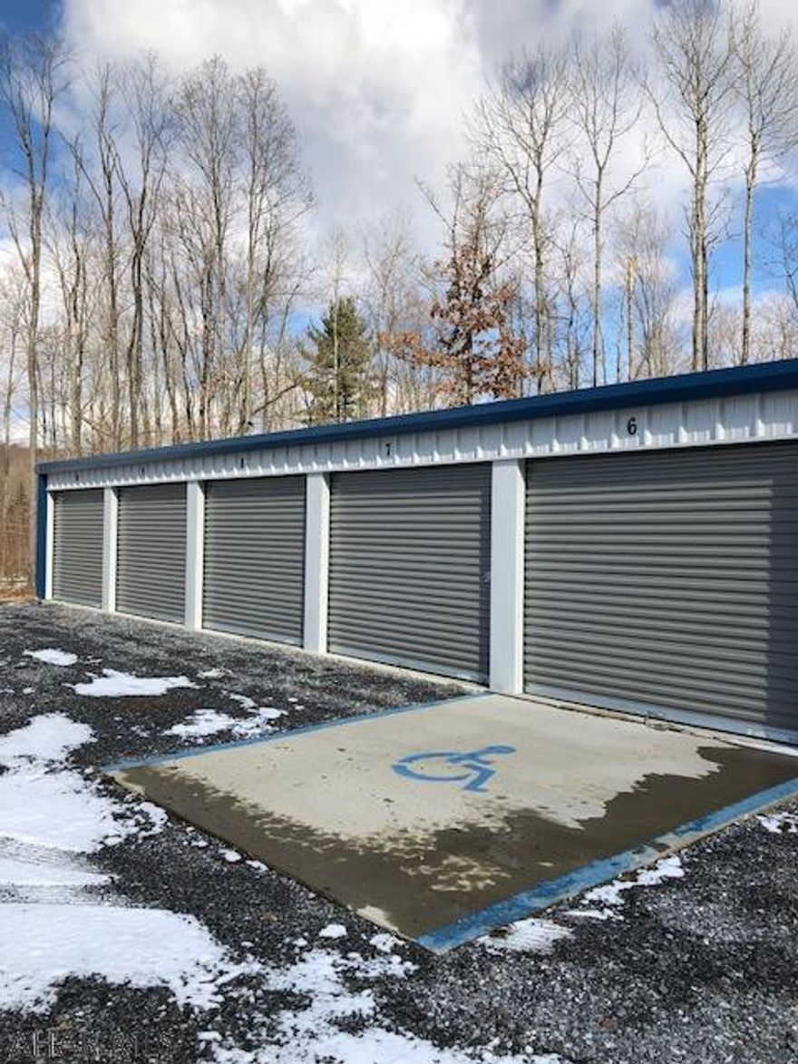 Great business opportunity. This 22 acre parcel currently has 10 storage units and a cleared area for parking boats and RV's. The lot currently has a non-working well and the lot has perc approval. The parcel is situated within miles of Glendale Lake and is conveniently along Rt. 53. Individual units currently rent at $55.00 per month