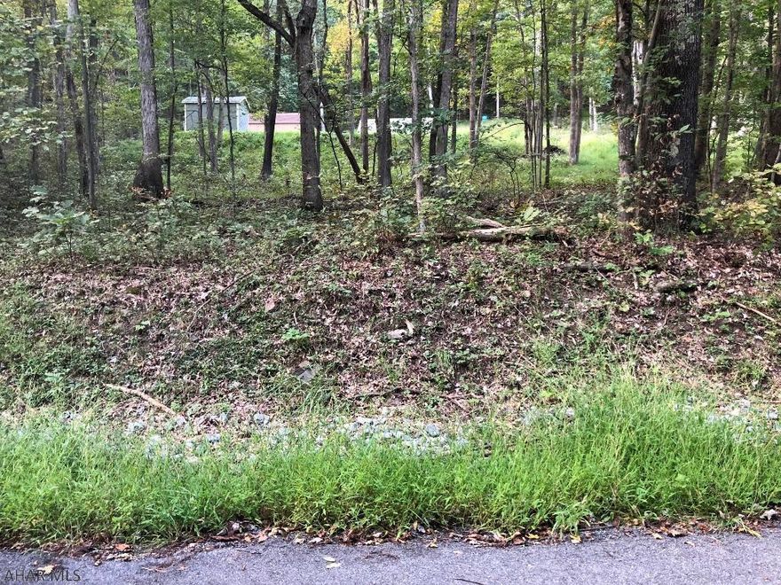 This great property has been leveled and is ready for your camping trailer!  The gold 10' by 20' shed is set up with a kitchen inside and a tankless water heater for the shower on the back of the shed!  Get away from the crowd and enjoy the quiet of nature on this 10.59 acre land!  Bring our kayak, fishing poles, and bicycles because this property is close to Yellow Creek, H&BT Trail, Blue Knob, Trough Creek and Warriors Path State Parks, and Raystown Lake!  It's located close to I-76, I-70 and I-99. Spartan trailer and blue shed are not included.