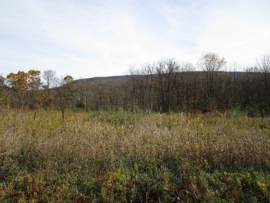 Very nice one plus acre building lot located in Juniata Mills Development.  Sewer tap and electric on lot.  Buyer must drill a well.