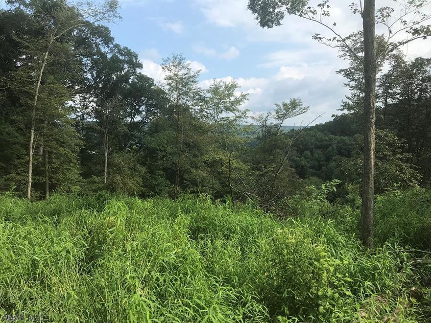 Picture This!  Experience the best of both worlds.  Take a look at this 4.05 acre wooded lot with a valley and mountain view.  Enjoy privacy with the convenience of living in the borough, minutes to Juniata College, schools, and hospital.   Access to city sewage.