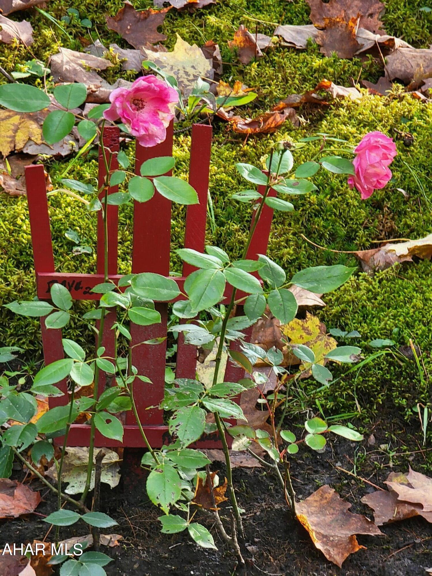 Antis Township - Residential