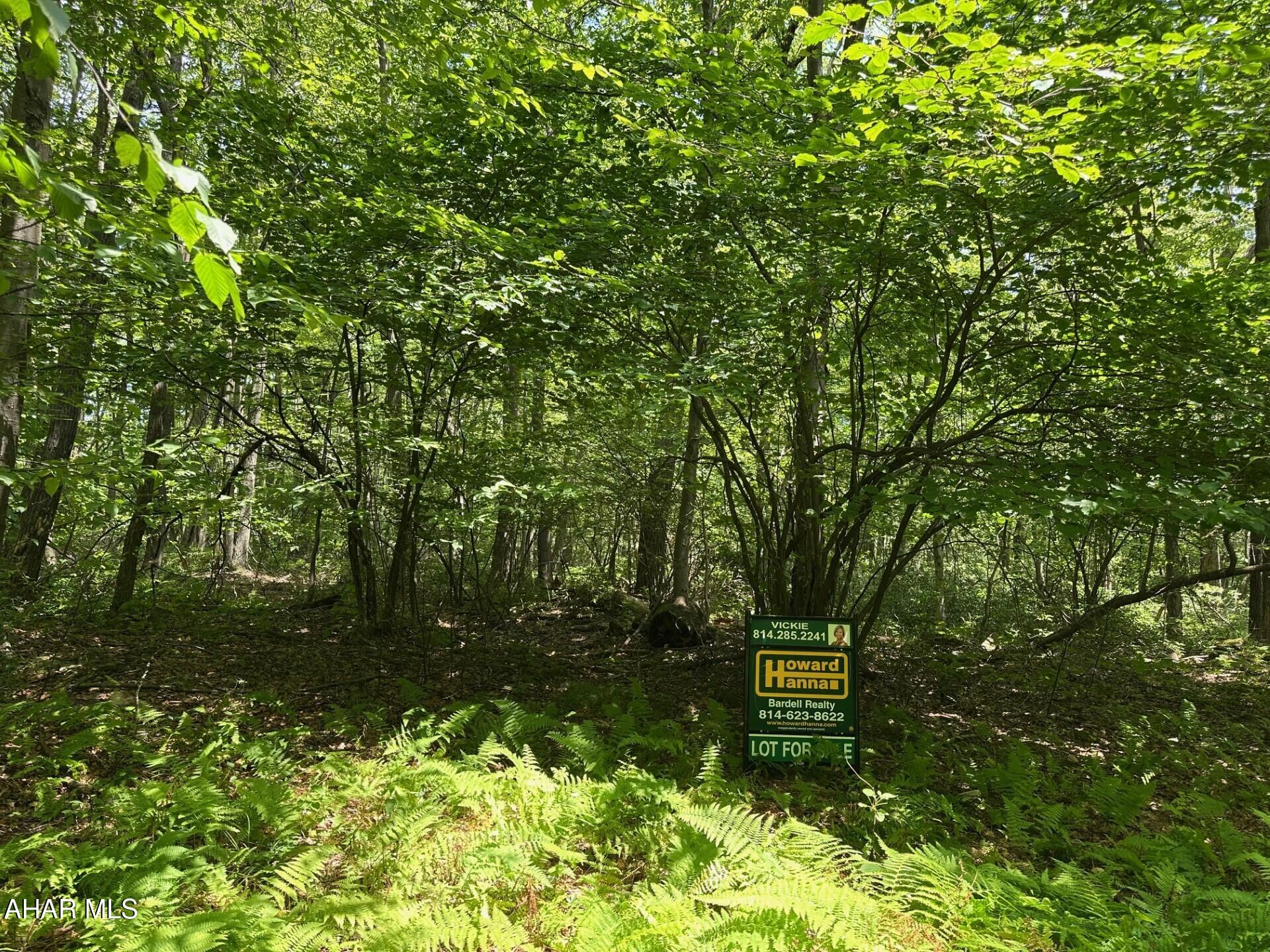 Blue Knob - Commercial Sale