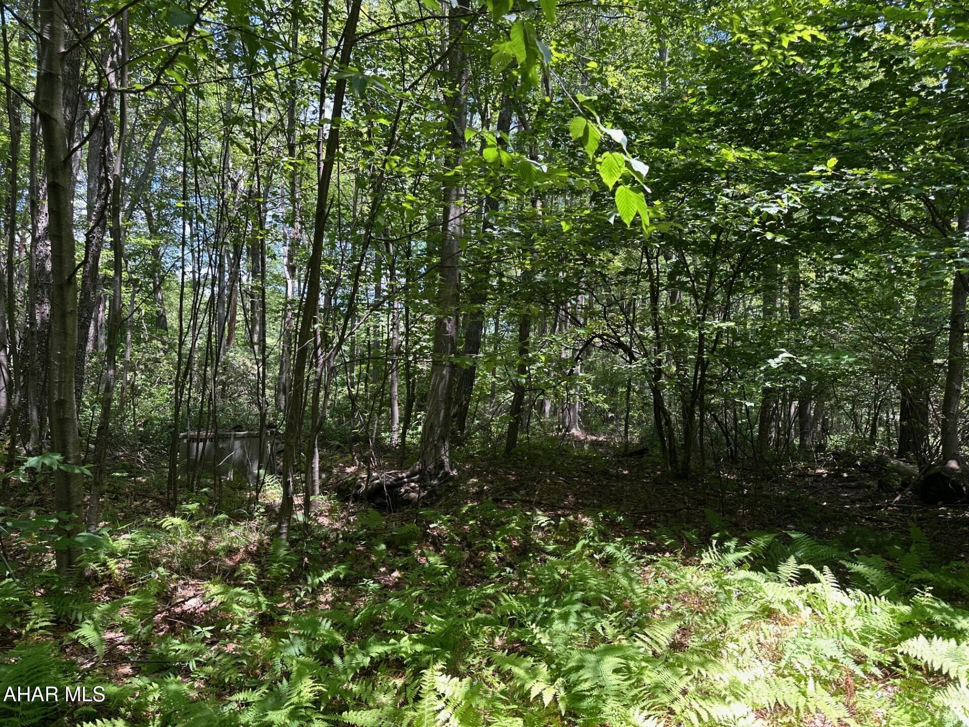 Blue Knob - Commercial Sale