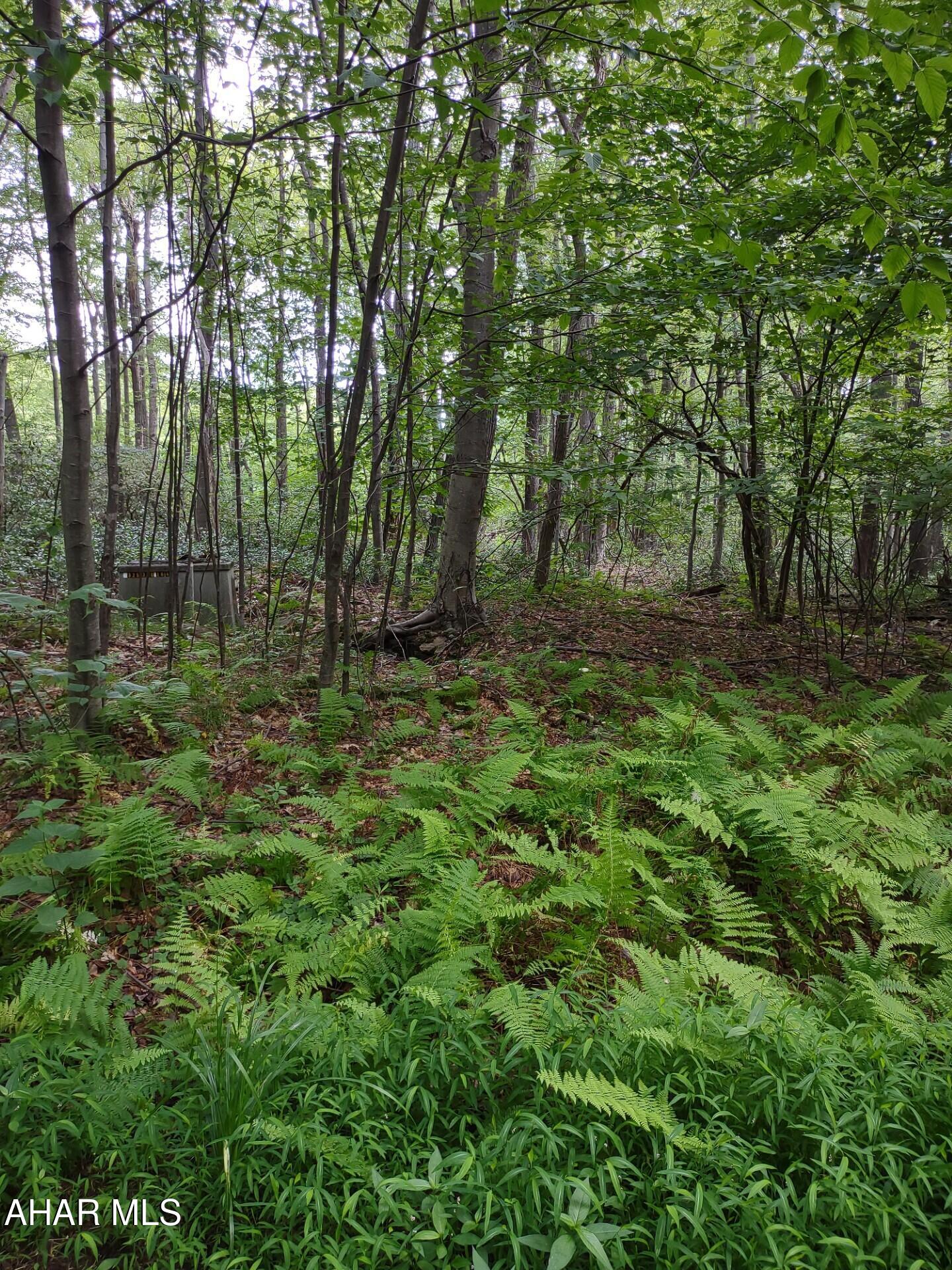 Blue Knob - Commercial Sale