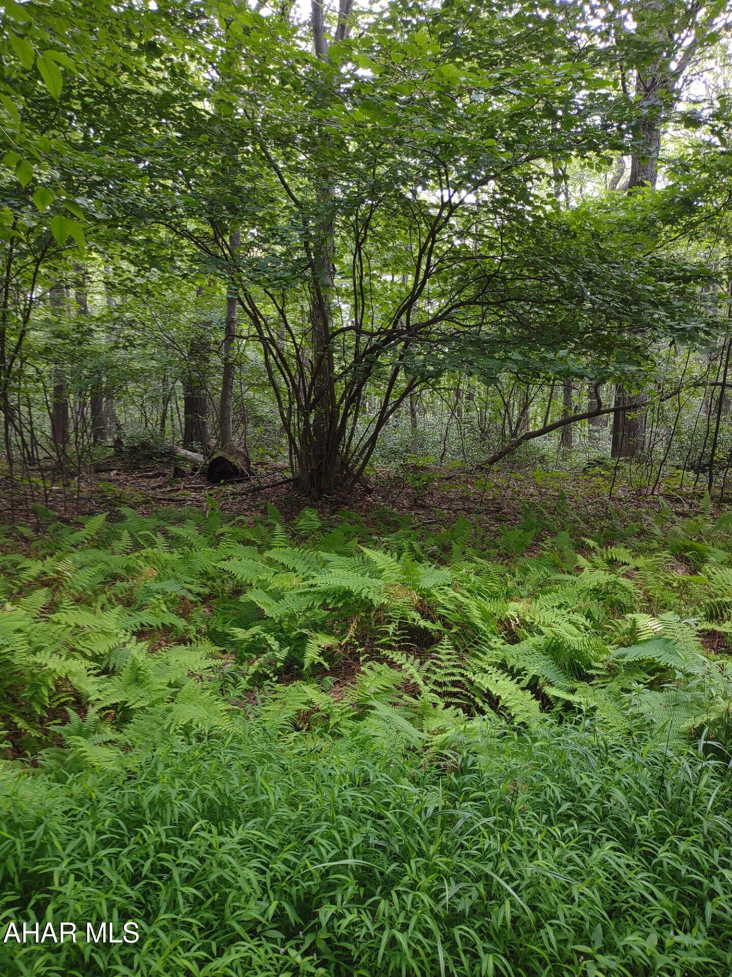 Blue Knob - Commercial Sale