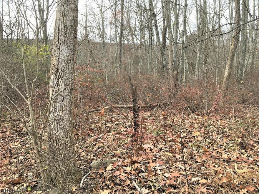 60 acres of ground ,wooded, with good hunting. Very close to State Game Lands. Land is enrolled in Clean and Green. Buyer will have to have a survey if they want the boundaries marked.
