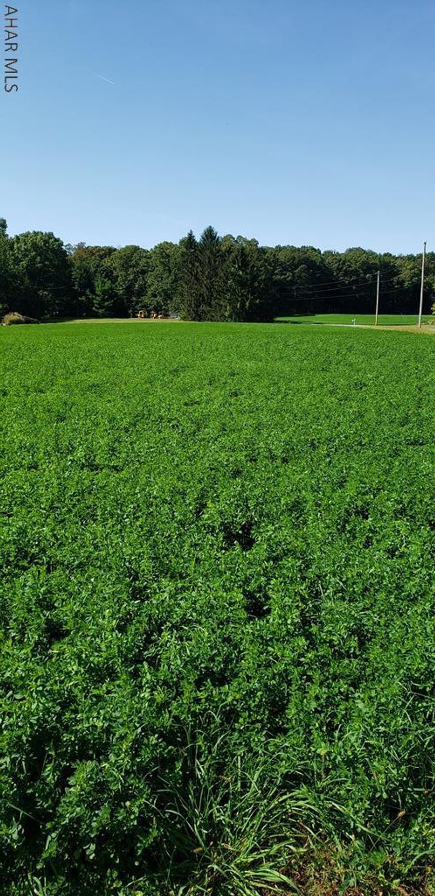 Beautiful level 2 acres in Spring Cove School District.  Ideal site for your dream home.