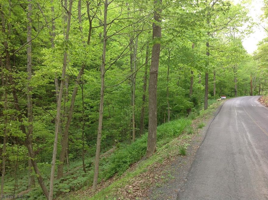 Road front property for a weekend cabin, great hunting or a home.  Will need some back fill to build structure.  Beautiful views on top of property.  Priced to sell.