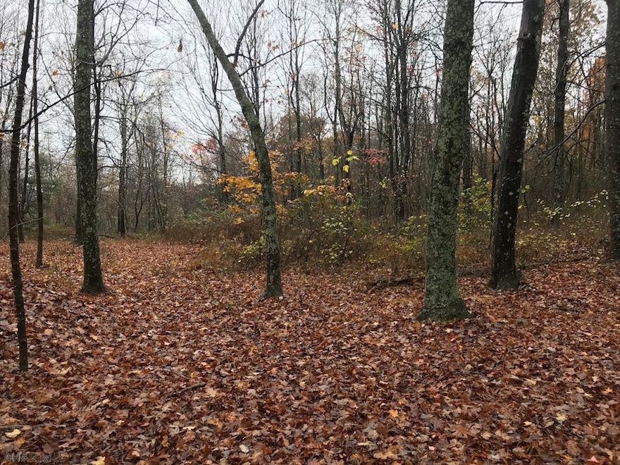 Expansive wooded 80+ acre lot in Southampton Township. Build your dream home or farm, or create a hunters paradise. Land borders Pine Ridge Natural Area and Buchanan State Forest, which are expansive hunting areas for deer, turkey, black bear and small game. Just 25 minutes to Rocky Gap Casino and Resort, 30 minutes to Everett. Survey and maps available