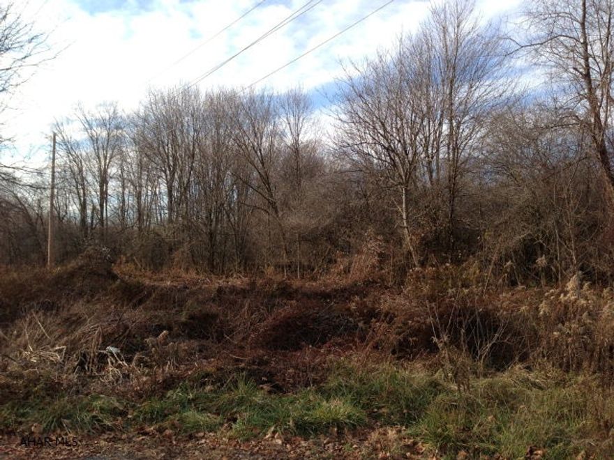 Nice flat wooded acres just minutes to Shawnee State Park.  Great Hunting Recreational property with stream.  Year around access to property.