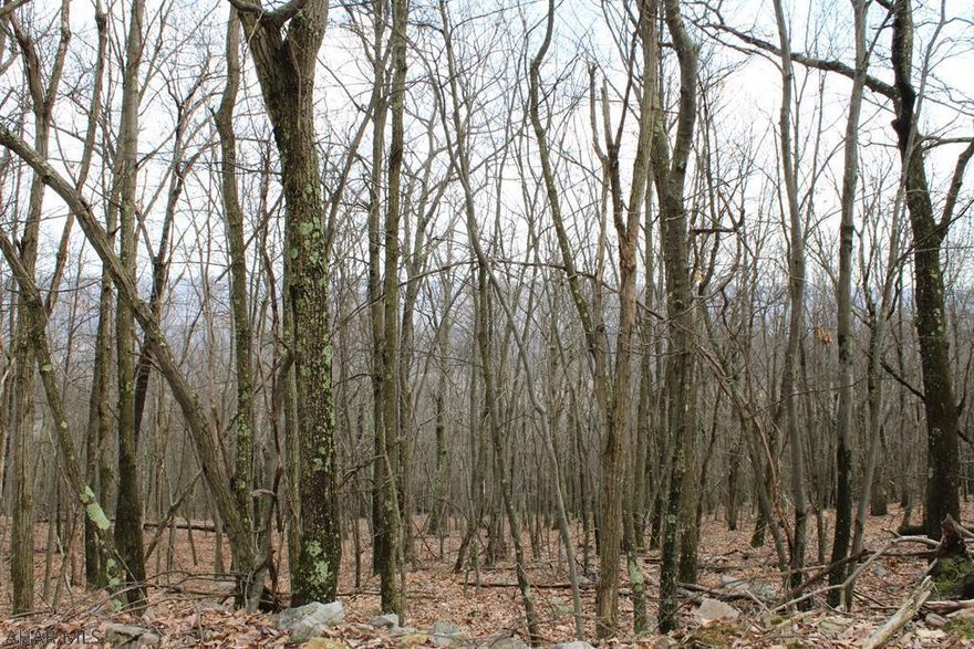 Hunters Paradise!  The possibilities are endless.  Great area for hunting, biking, hiking, horseback riding, mushroom hunting, 4 wheeling and more.  It is nice remote spot on the top of mountain.  Near state game lands with easy access to state land.  Abundant wildlife. Property comes with the camper. Camper has gas stove, refrigerator, air conditioning, and sleeps 6.  The Camper has generator to run electric. 4 wheel drive needed.