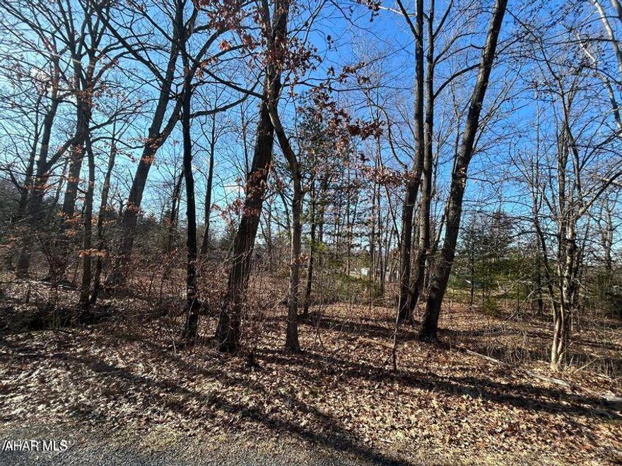 This level, wooded lot offers a peaceful setting with a small stream running along the edge. Ideal for building your dream home, this property provides privacy and natural beauty. Seller is open to offers.  Buyer to verify lot size and taxes. Buyer to confirm taxes, sq footage, and lot size.