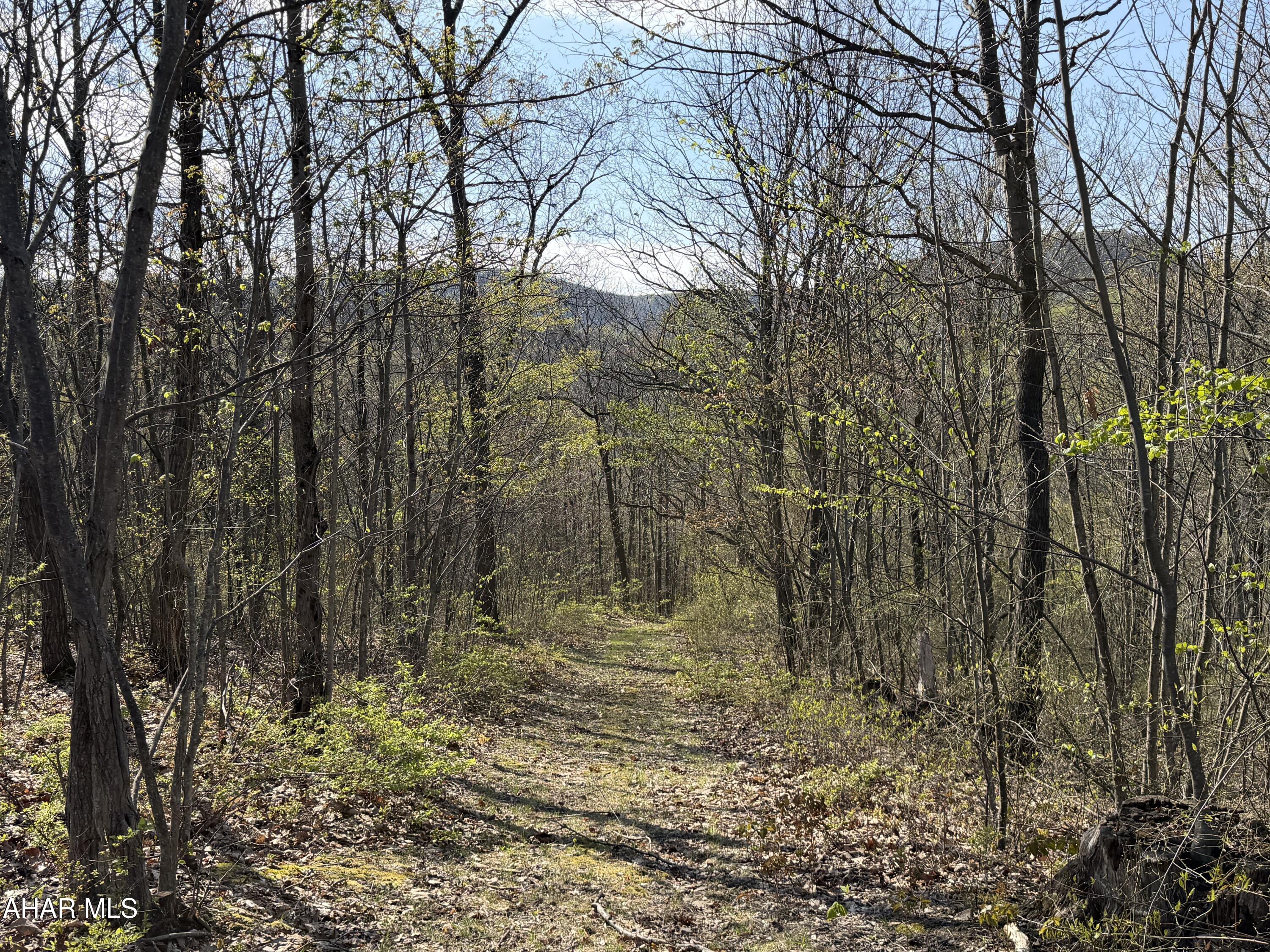 None - Commercial Sale