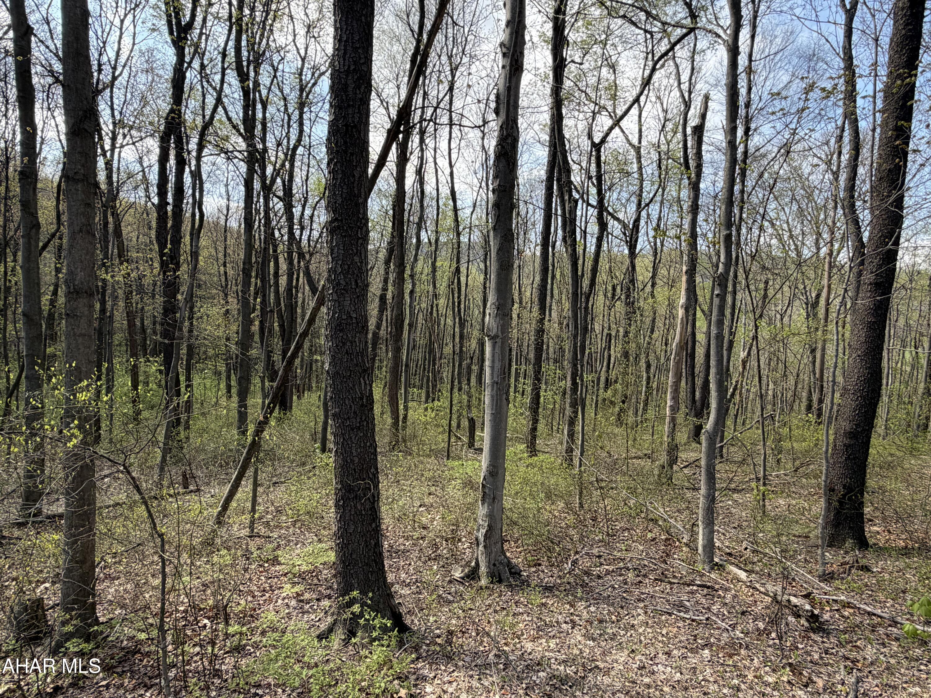 None - Commercial Sale