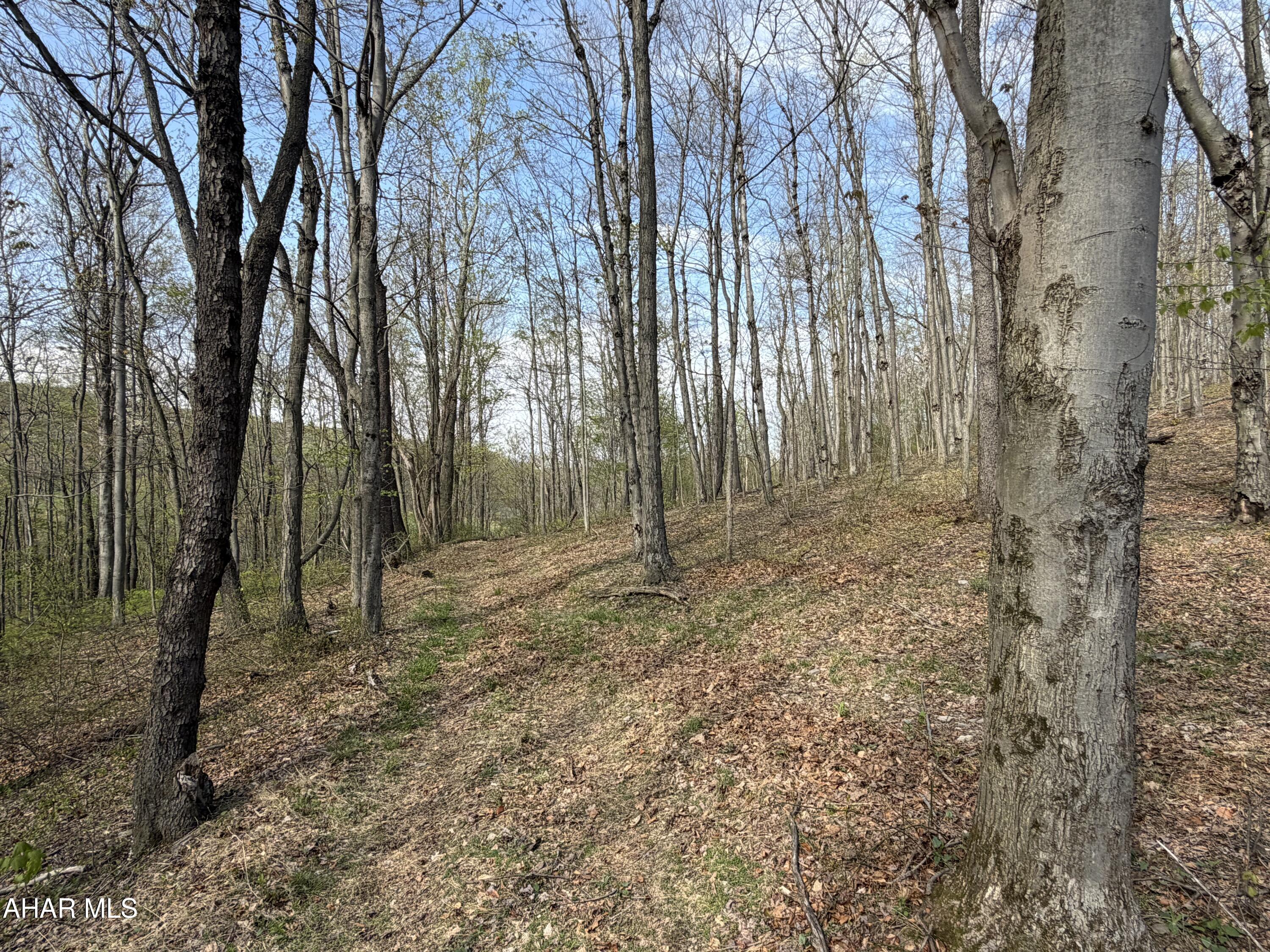 None - Commercial Sale