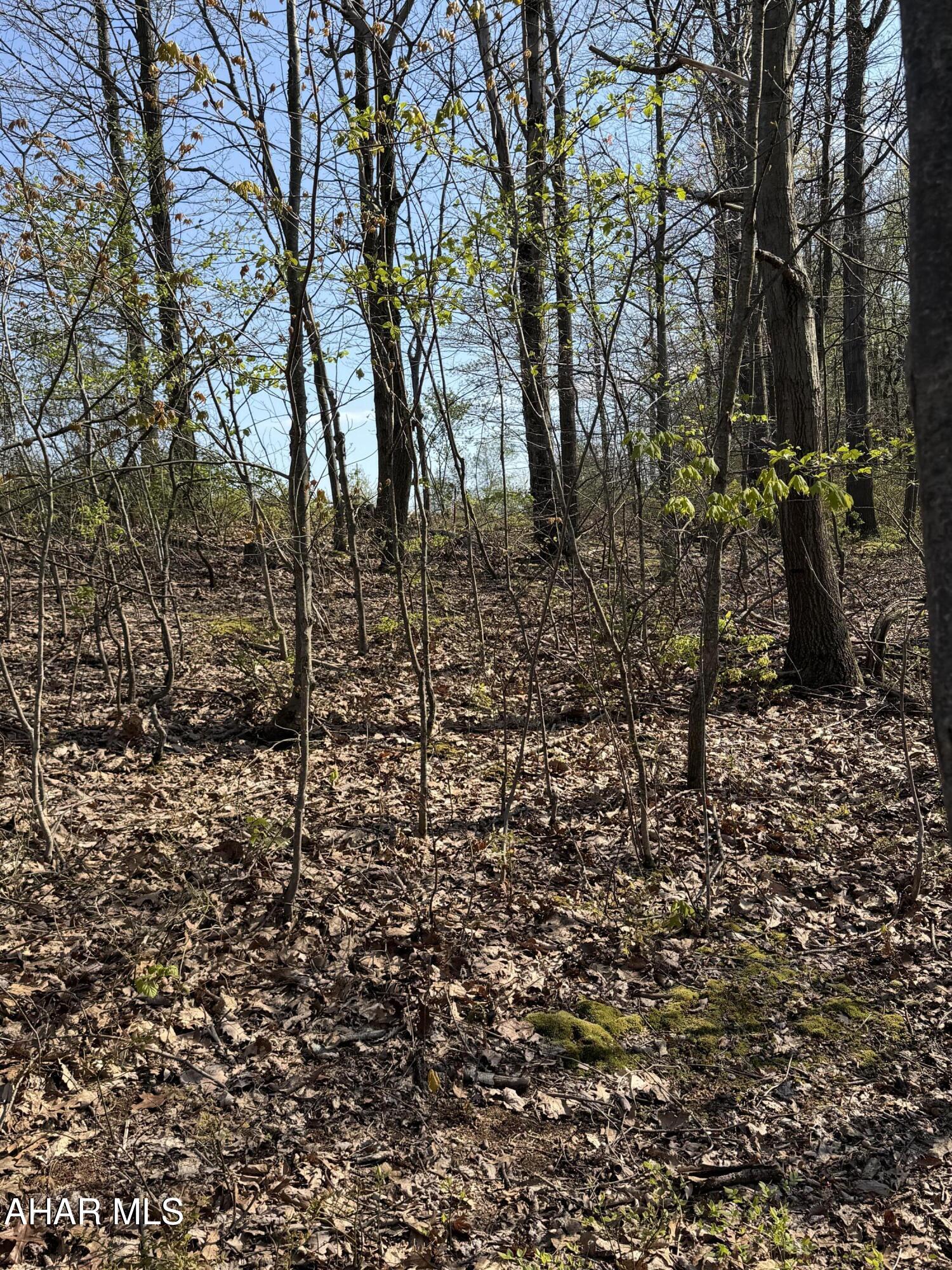 None - Commercial Sale