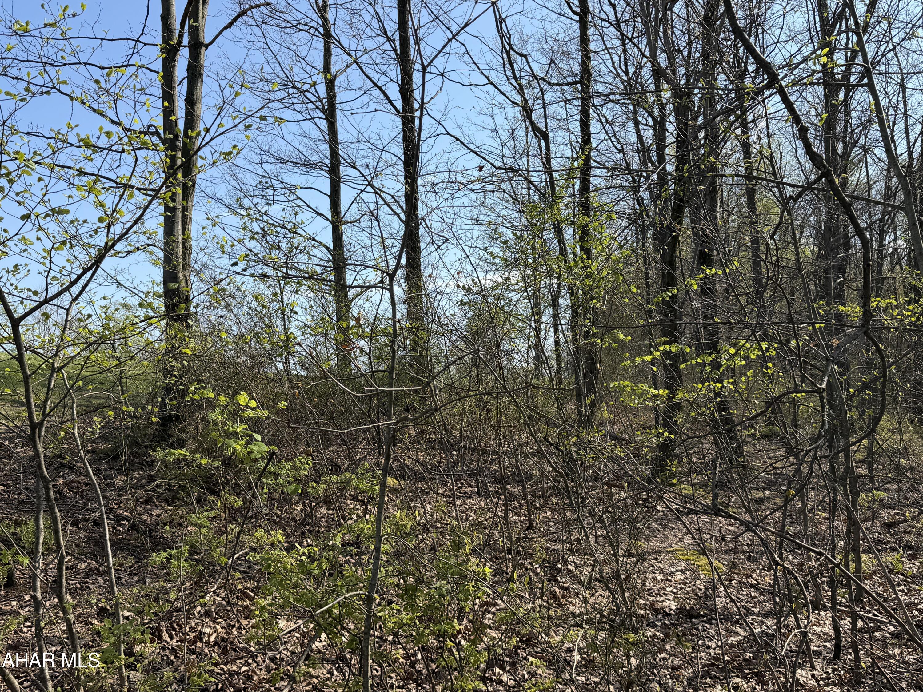 None - Commercial Sale