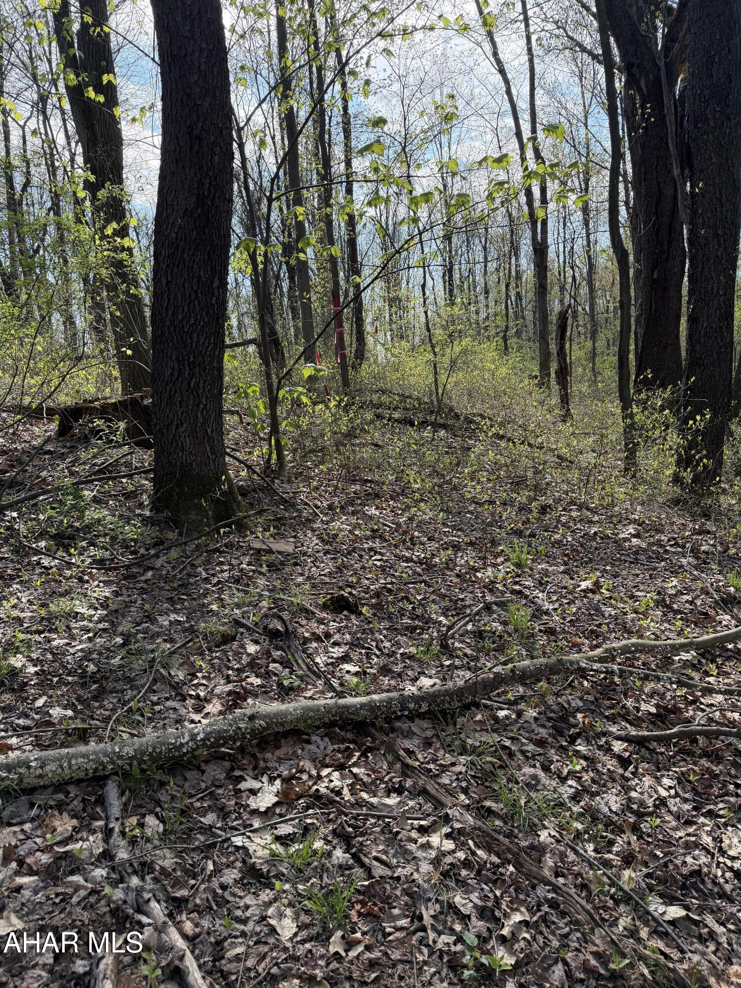 None - Commercial Sale