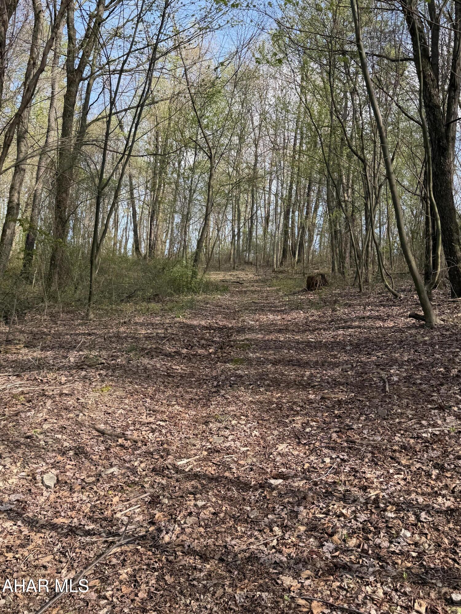 None - Commercial Sale