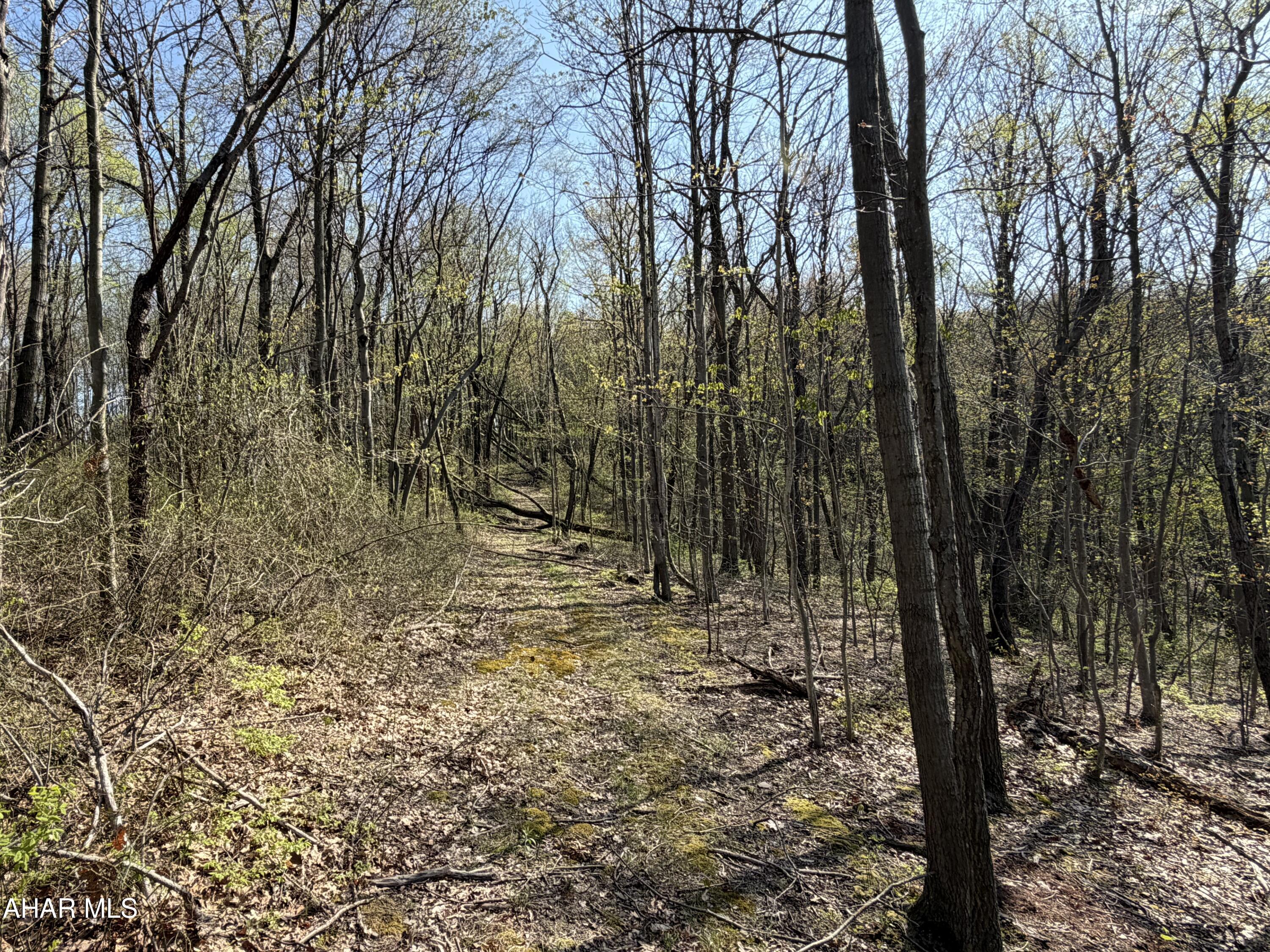 None - Commercial Sale