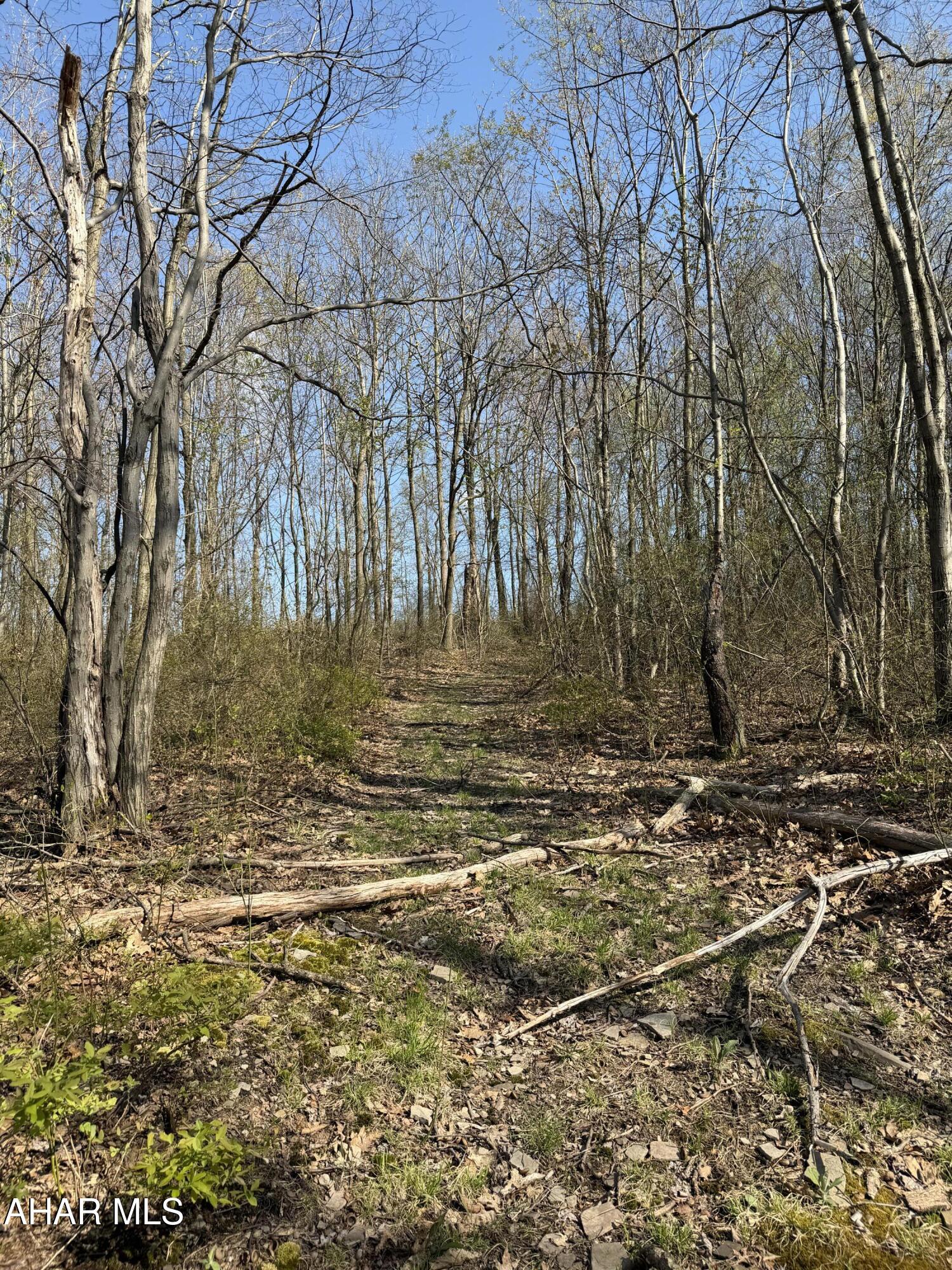 None - Commercial Sale