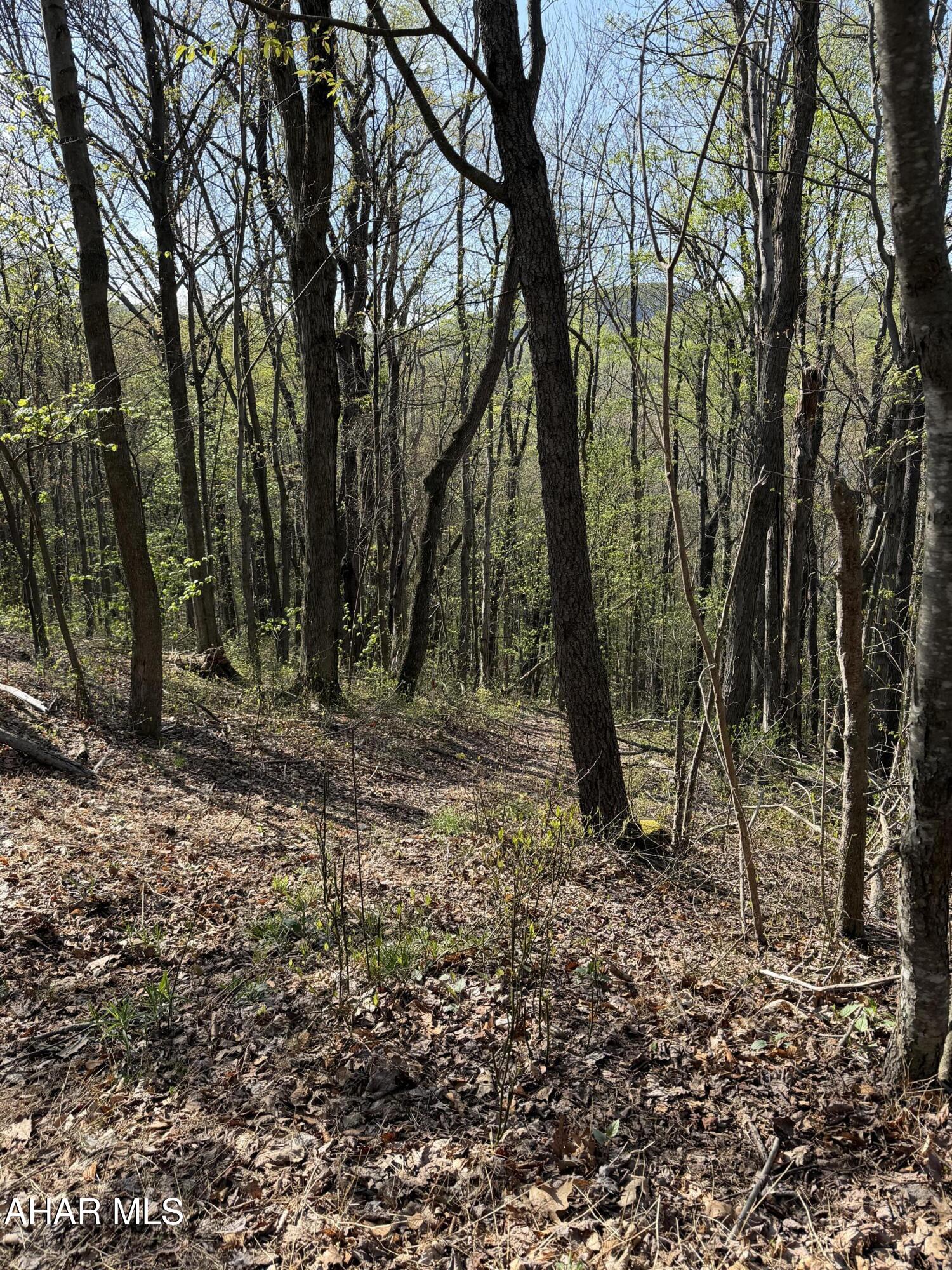 None - Commercial Sale