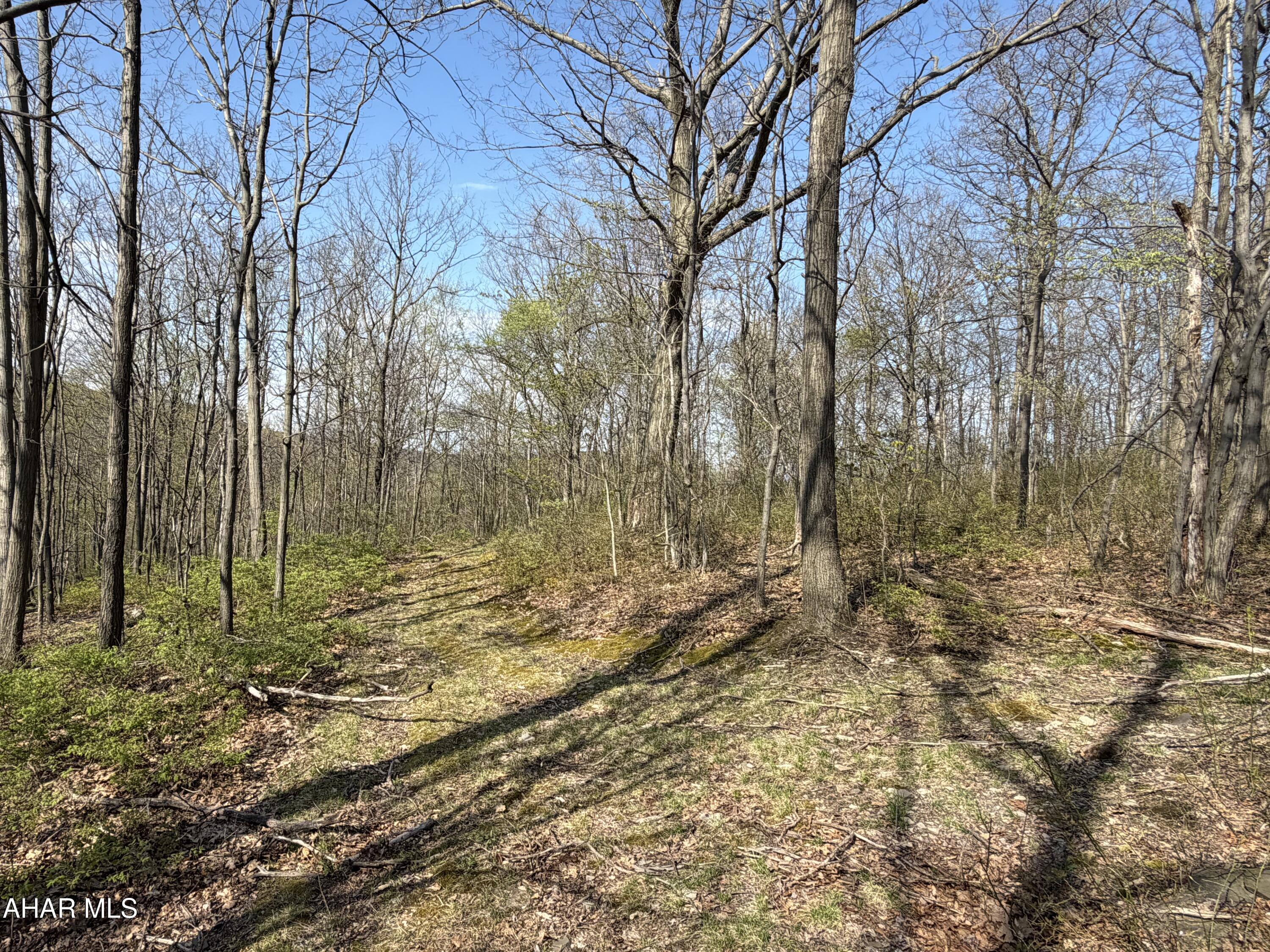 None - Commercial Sale