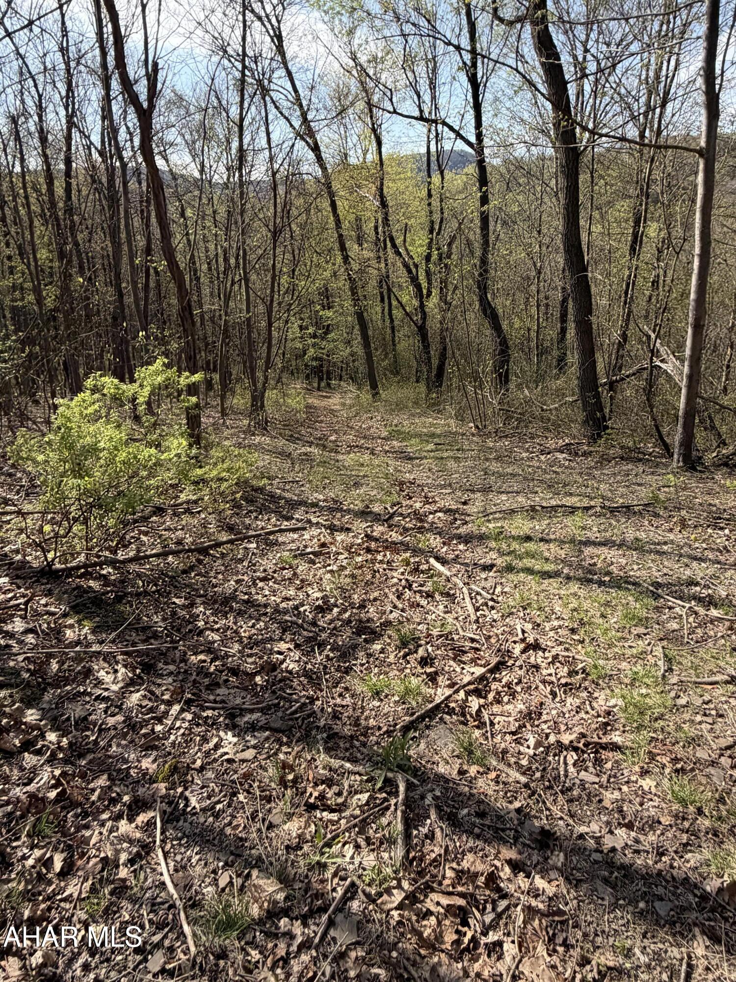 None - Commercial Sale